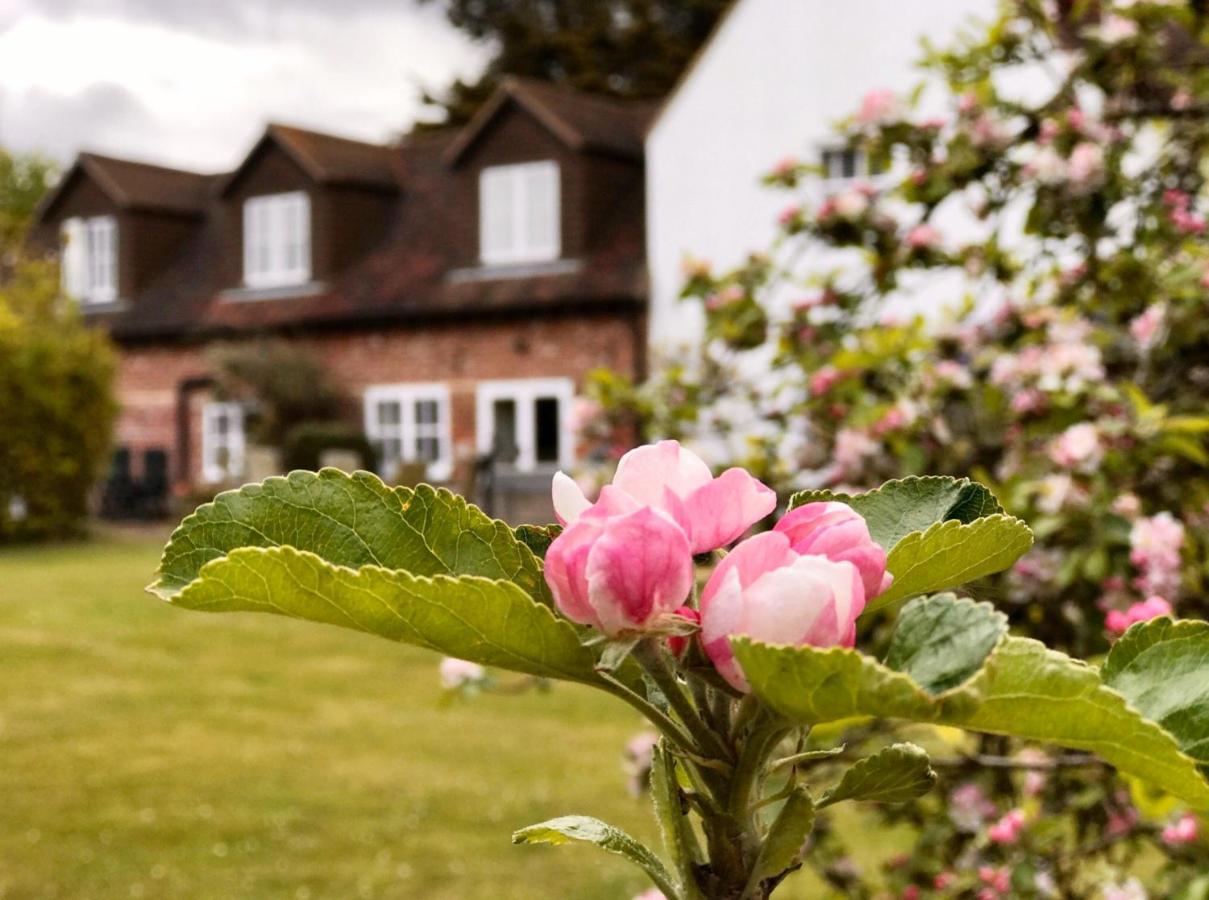 Hanger Down House Bed And Breakfast Arundel Dış mekan fotoğraf